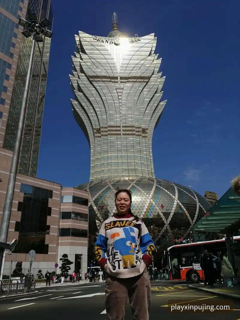新莆京安卓下载攻略最新动态：2026新版APP安装全流程详解
