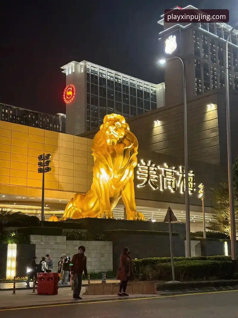 新莆京安卓下载攻略最新动态：2026新版APP安装全流程详解